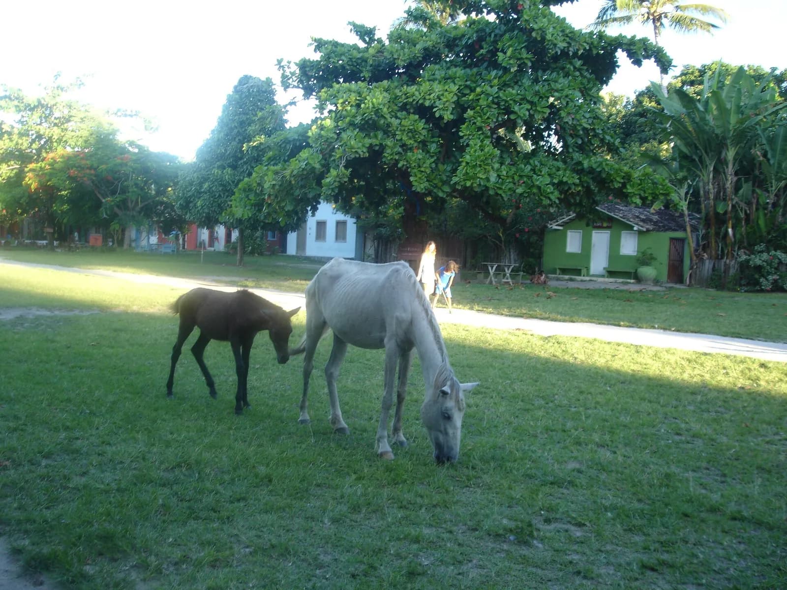 Quadrado histórico de Trancoso, Bahia