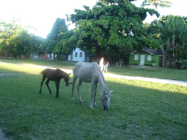 Quadrado histórico de Trancoso, Bahia